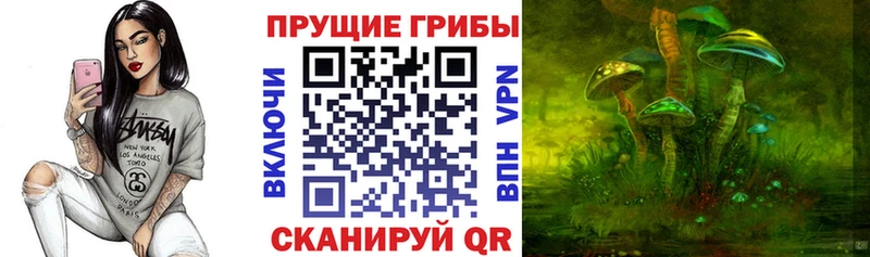 Галлюциногенные грибы Cubensis  закладка  Калининец 